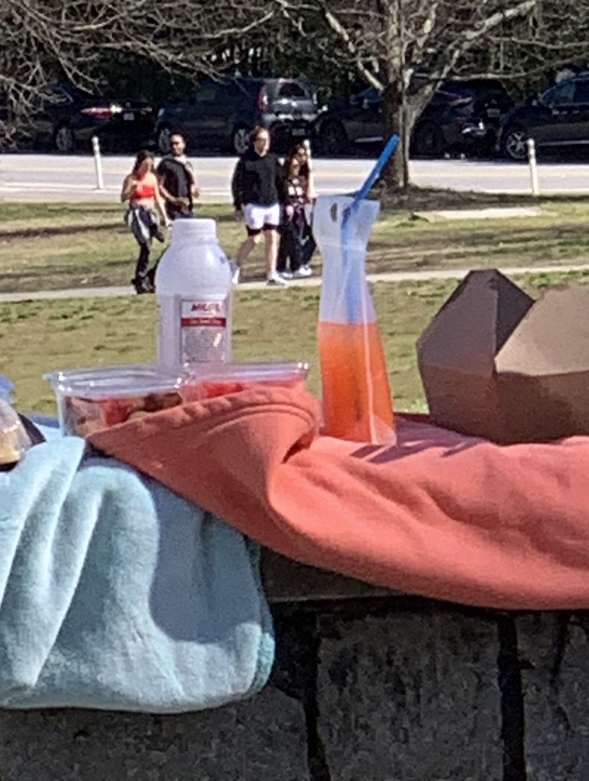 Whatcha pouch out at a park hangout